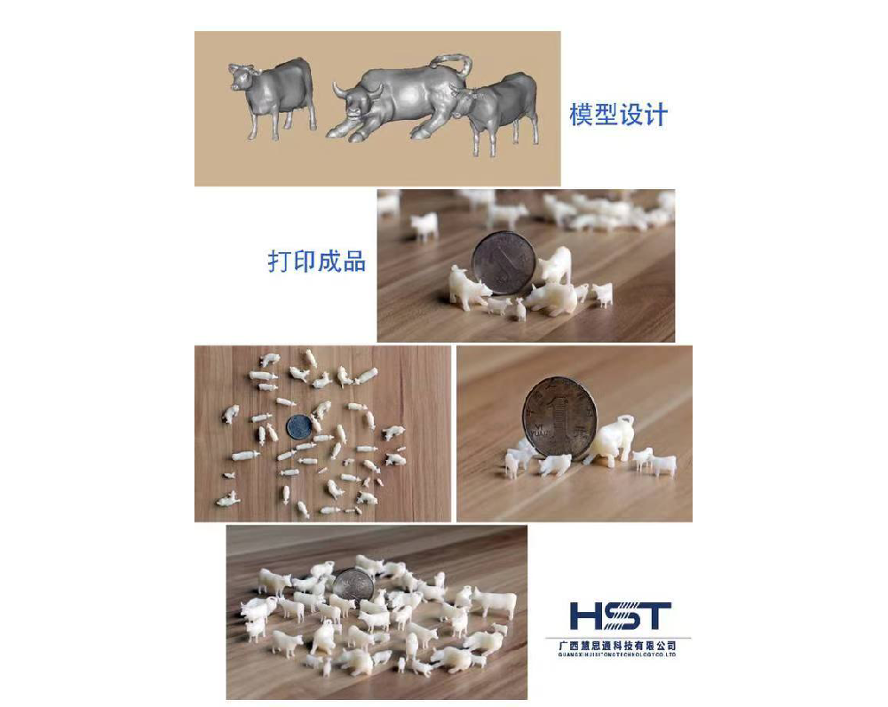 Model technical printing